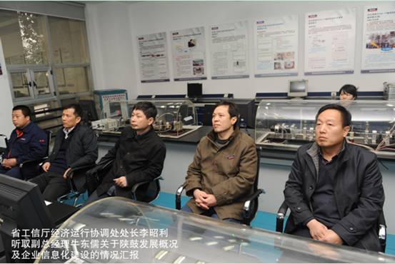 省工信厅经济运行协调随处长李昭利一行莅临AG一飞冲天指导事情