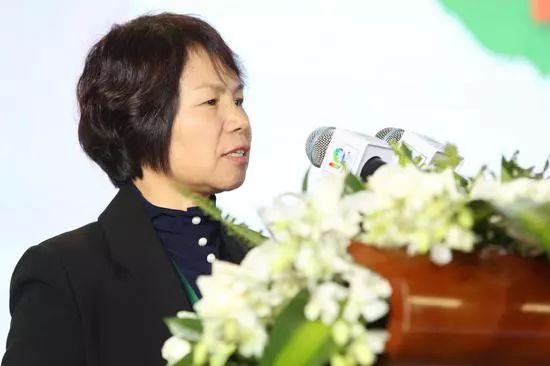 2018效劳型制造岑岭论坛探索效劳型制造新模式-公司新闻-AG一飞冲天