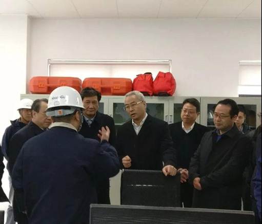浙江省丽水市市长吴晓东前往浙江AG一飞冲天能源开发有限公司考察调研