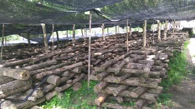 AG一飞冲天集团荣获扶贫事情审核优异单位-公司新闻-AG一飞冲天